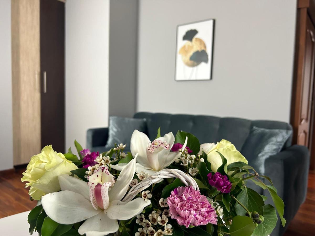 Mala Italia Apartments Βρότσλαβ Εξωτερικό φωτογραφία